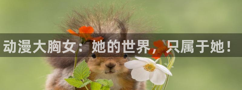 58动漫网站免费看：动漫大胸女：她的世界，只属于她！